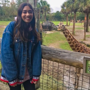 A person stands next to a fence with a giraffe behind them.