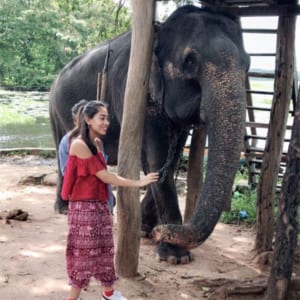 A person is petting an elephant.