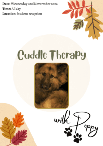 The image is showing an event on Wednesday 2nd November 2022 where students can receive cuddle therapy with Yopy at the student reception. Full Text: Date: Wednesday 2nd Novermber 2022 Time: All day Location: Student reception Cuddle Therapy with Yopy